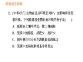 人教版七年级上册生物习题课件 第一单元 阶段综合训练【生物与环境】