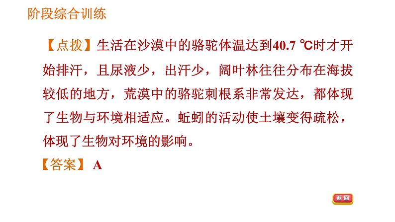 人教版七年级上册生物习题课件 第一单元 阶段综合训练【生物与环境】第5页