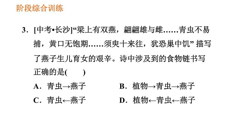 人教版七年级上册生物习题课件 第一单元 阶段综合训练【生物与环境】第6页