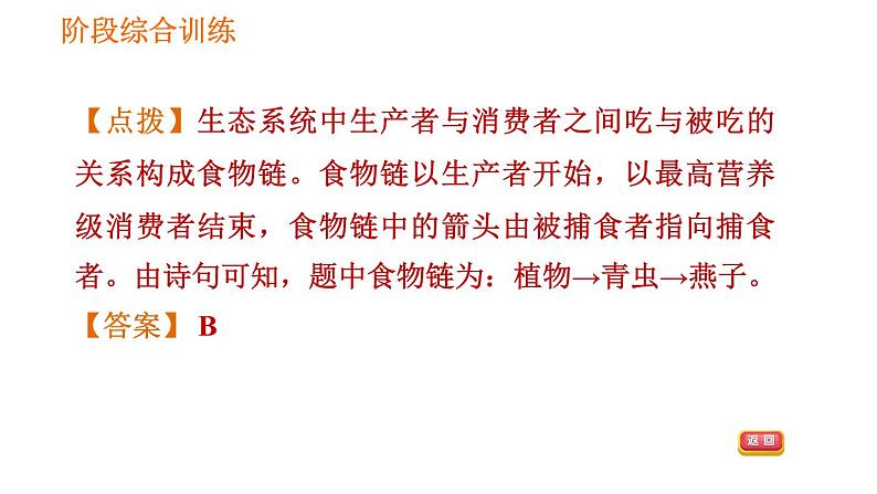 人教版七年级上册生物习题课件 第一单元 阶段综合训练【生物与环境】第7页