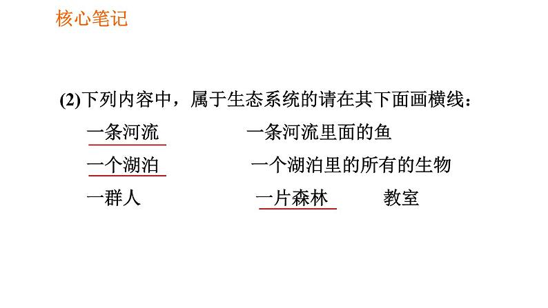 人教版七年级上册生物习题课件 第一单元 1.2.2.1 生态系统第3页