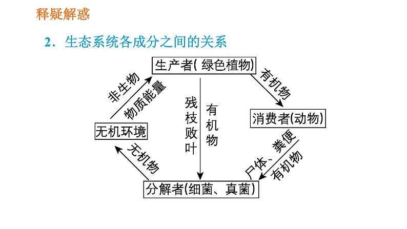 人教版七年级上册生物习题课件 第一单元 1.2.2.1 生态系统第7页