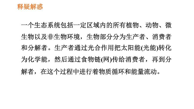 人教版七年级上册生物习题课件 第一单元 1.2.2.1 生态系统第8页