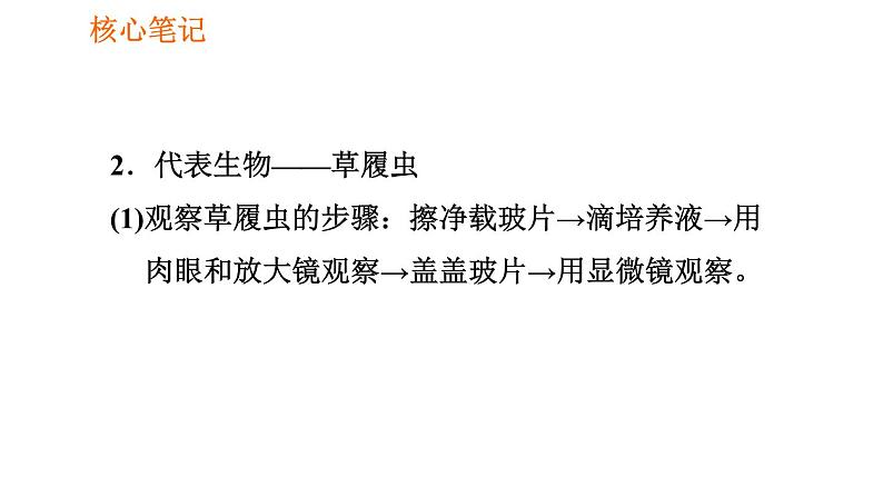 人教版七年级上册生物习题课件 第二单元 2.2.4 单细胞生物05