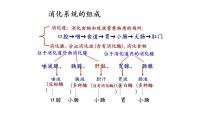 人教版 (新课标)七年级下册第一节 呼吸道对空气的处理集体备课ppt课件