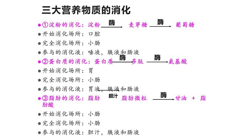 4.3.1呼吸道对空气的处理 课件PPT02