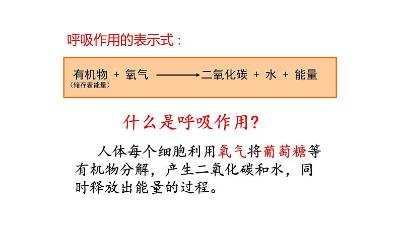 4.3.1呼吸道对空气的处理 课件PPT05