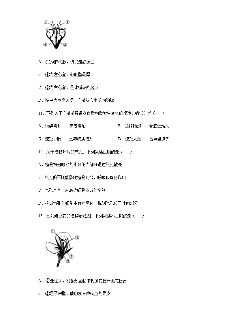 2020年江西省中考生物试题03