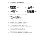 2020年江苏省连云港市中考生物试题