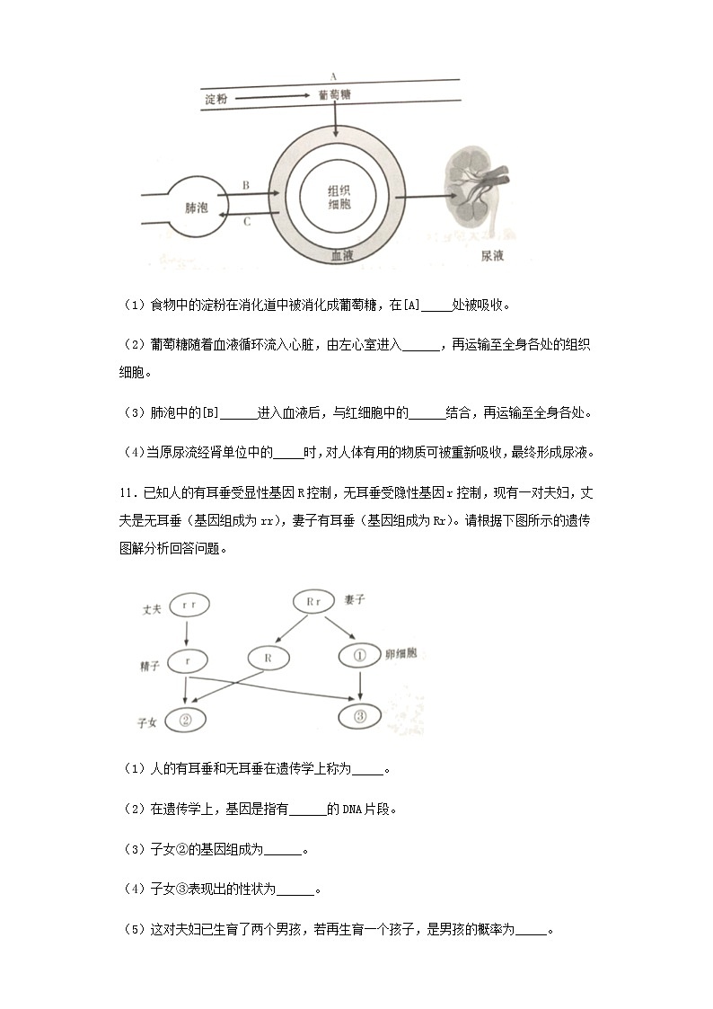 2020年甘肃省平凉市中考生物试题03