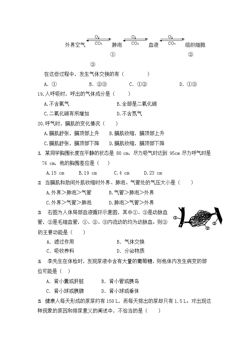 人教版七年级生物下册期末考试检测试题测试卷及答案03