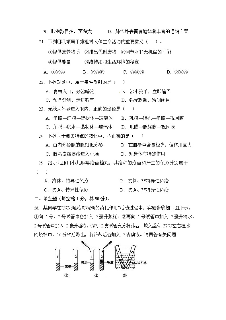 人教版七年级生物下册期末模拟检测试卷测试题及答案第3页