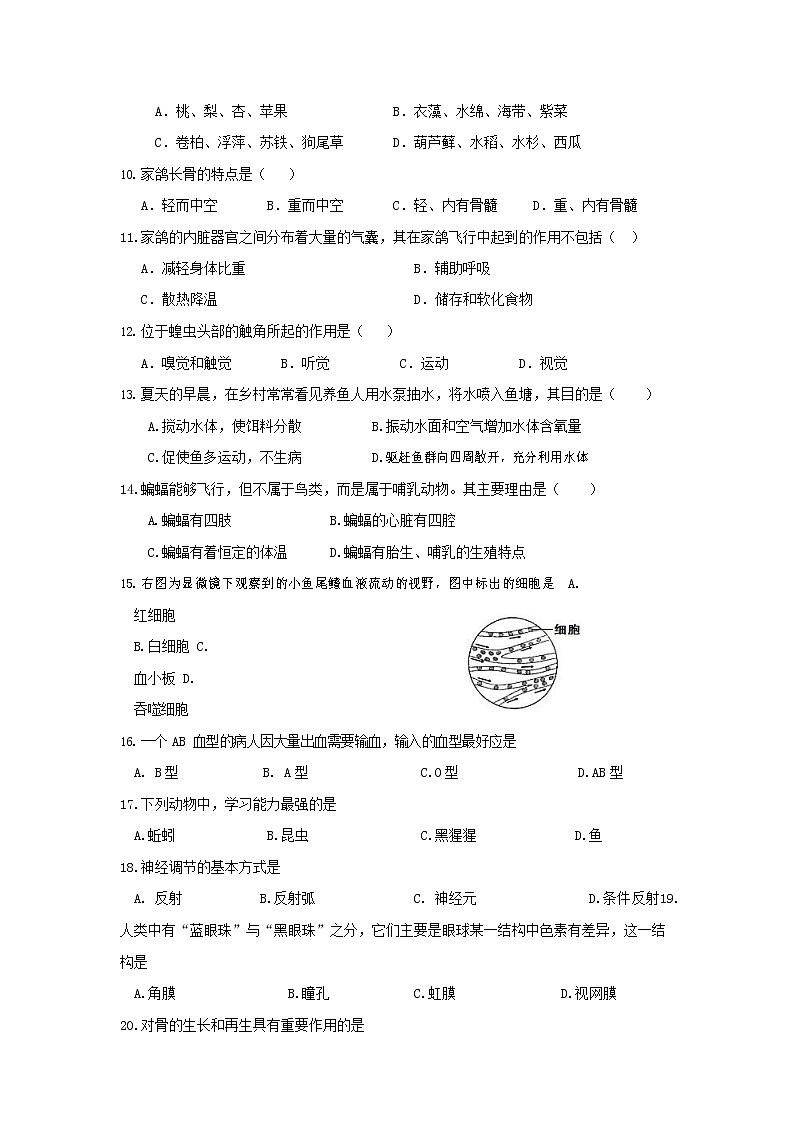 人教版七年级生物下册期末检测试题测试卷及答案第2页