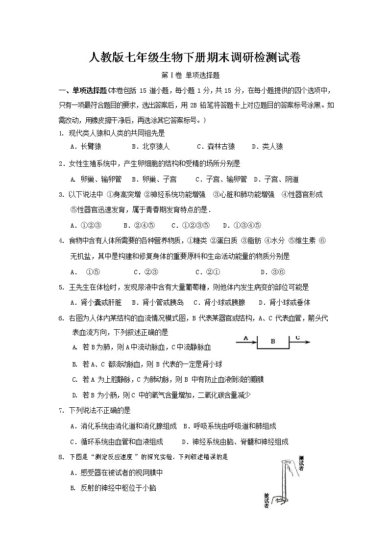 人教版七年级生物下册期末调研检测试卷测试题及答案01