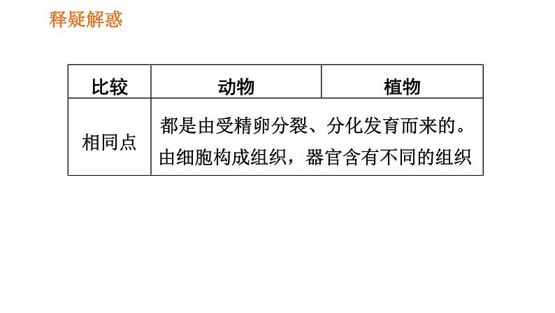 人教版七年级上册生物习题课件 第二单元 2.2.3 植物体的结构层次07