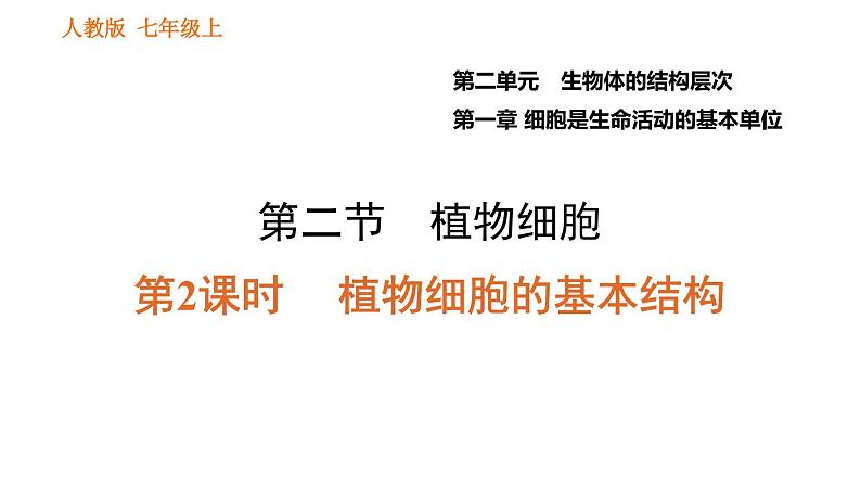 人教版七年级上册生物习题课件 第二单元 2.1.2.2 植物细胞的基本结构01