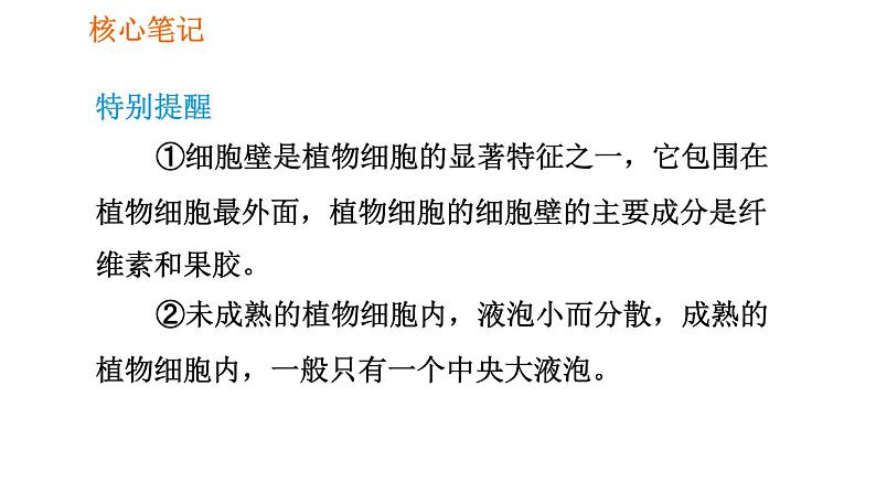 人教版七年级上册生物习题课件 第二单元 2.1.2.2 植物细胞的基本结构04