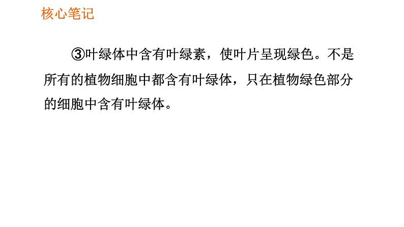 人教版七年级上册生物习题课件 第二单元 2.1.2.2 植物细胞的基本结构05