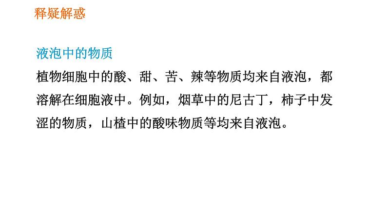 人教版七年级上册生物习题课件 第二单元 2.1.2.2 植物细胞的基本结构06