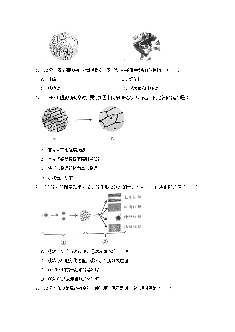 2020年广东省广州市中考生物试卷02