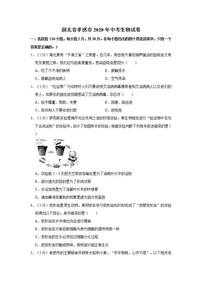 2020年湖北省孝感市中考生物试卷01