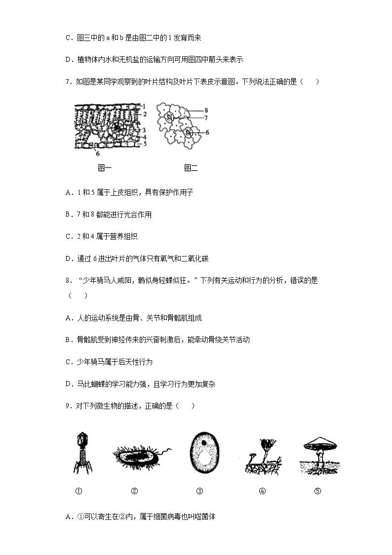 2020年山东省菏泽市中考生物试题第3页