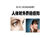 4.6.1人体对环境的感知 课件PPT