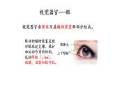 4.6.1人体对环境的感知 课件PPT