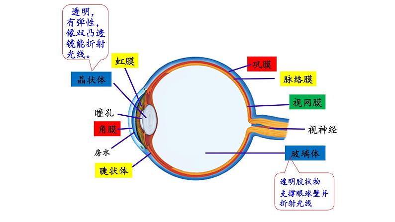 4.6.1人体对环境的感知 课件PPT第8页