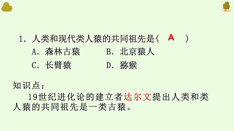 人教版七下生物复习(1--5章）（含习题）课件PPT第3页