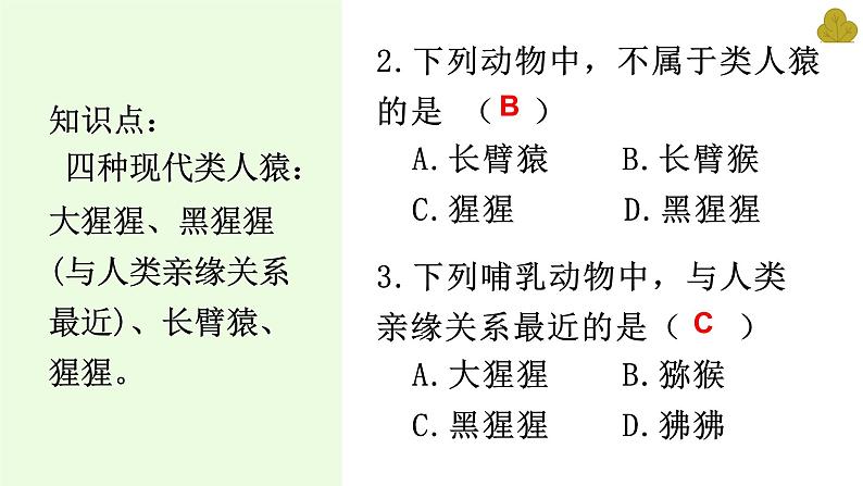 人教版七下生物复习(1--5章）（含习题）课件PPT第4页