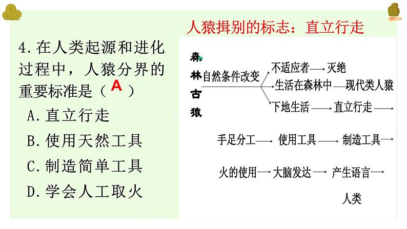 人教版七下生物复习(1--5章）（含习题）课件PPT第5页