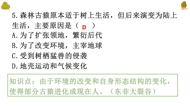 人教版七下生物复习(1--5章）（含习题）课件PPT第6页