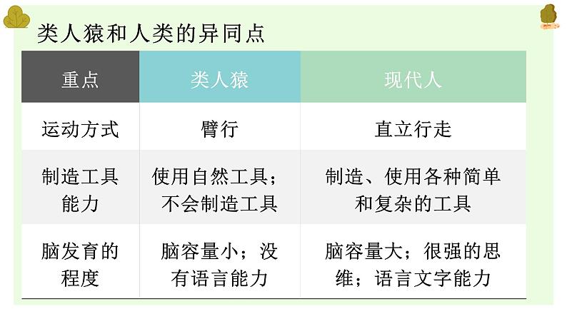 人教版七下生物复习(1--5章）（含习题）课件PPT第8页