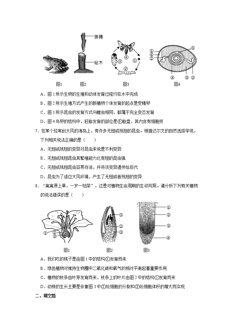 2020年四川省达州市中考生物试卷03