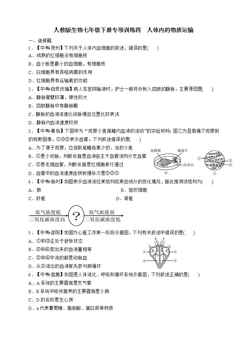 人教版生物七年级下册专项训练四  人体内的物质运输第1页