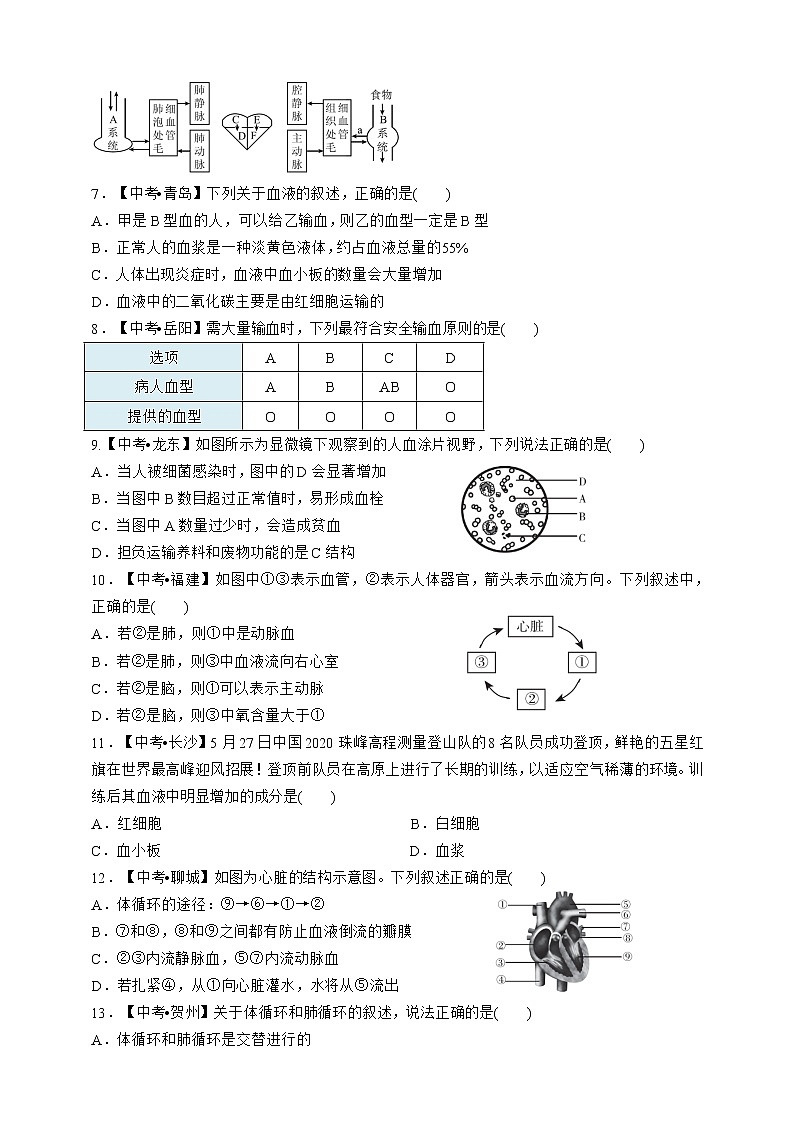 人教版生物七年级下册专项训练四  人体内的物质运输第2页