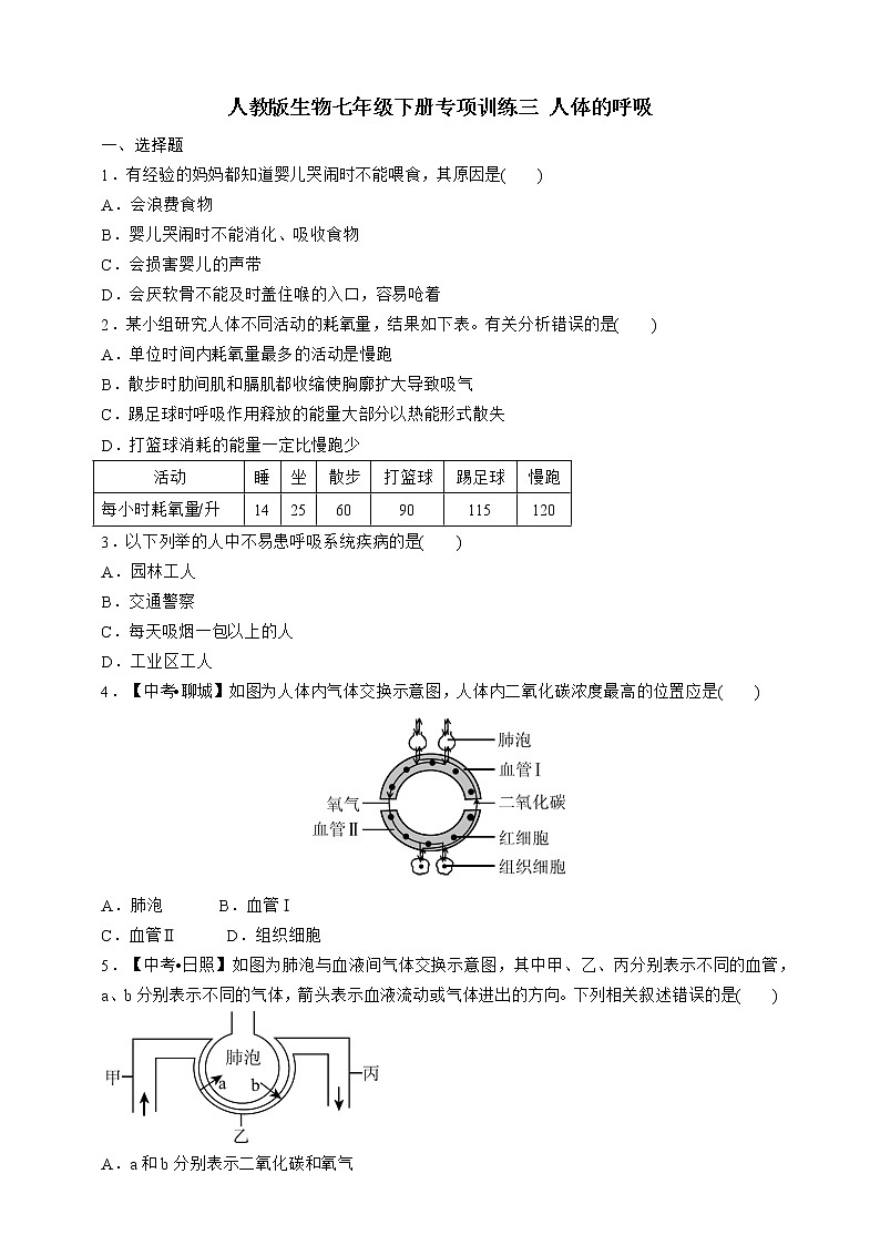人教版生物七年级下册专项训练三 人体的呼吸01
