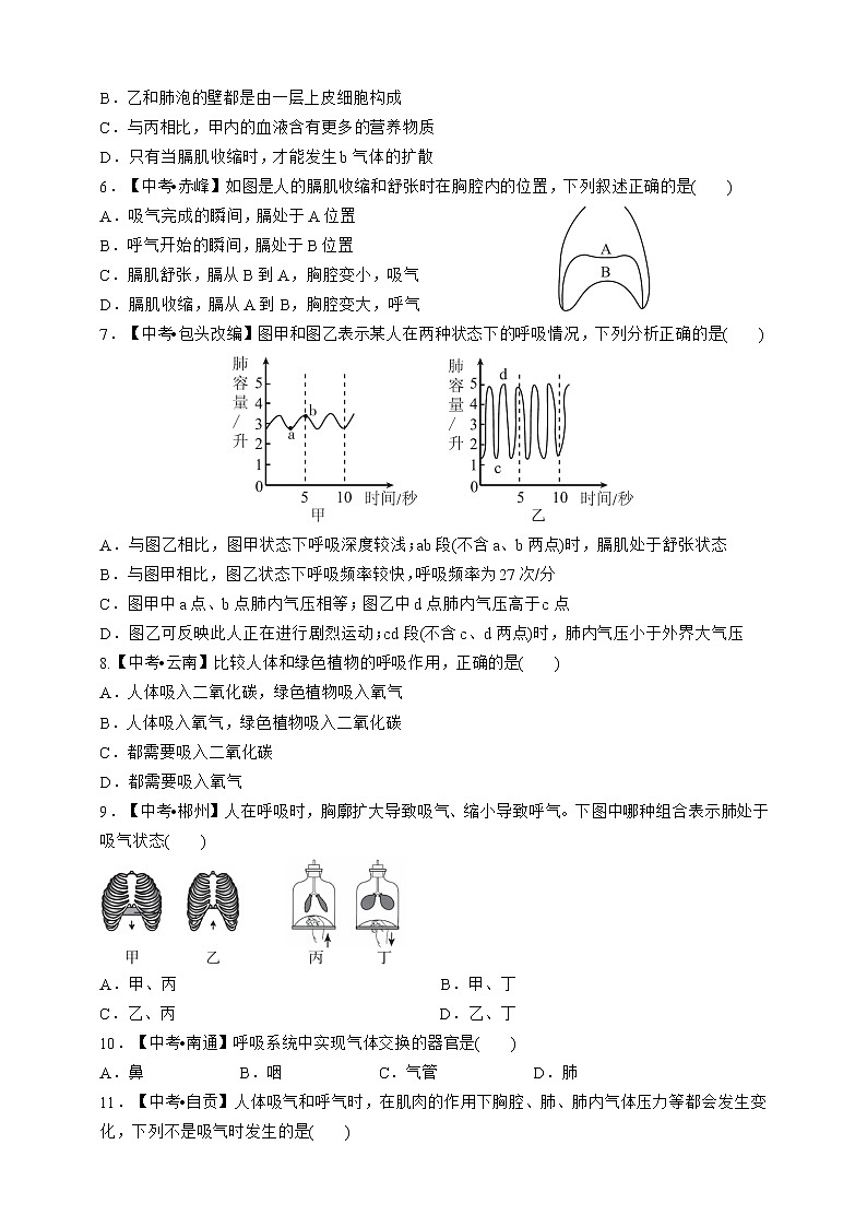 人教版生物七年级下册专项训练三 人体的呼吸02