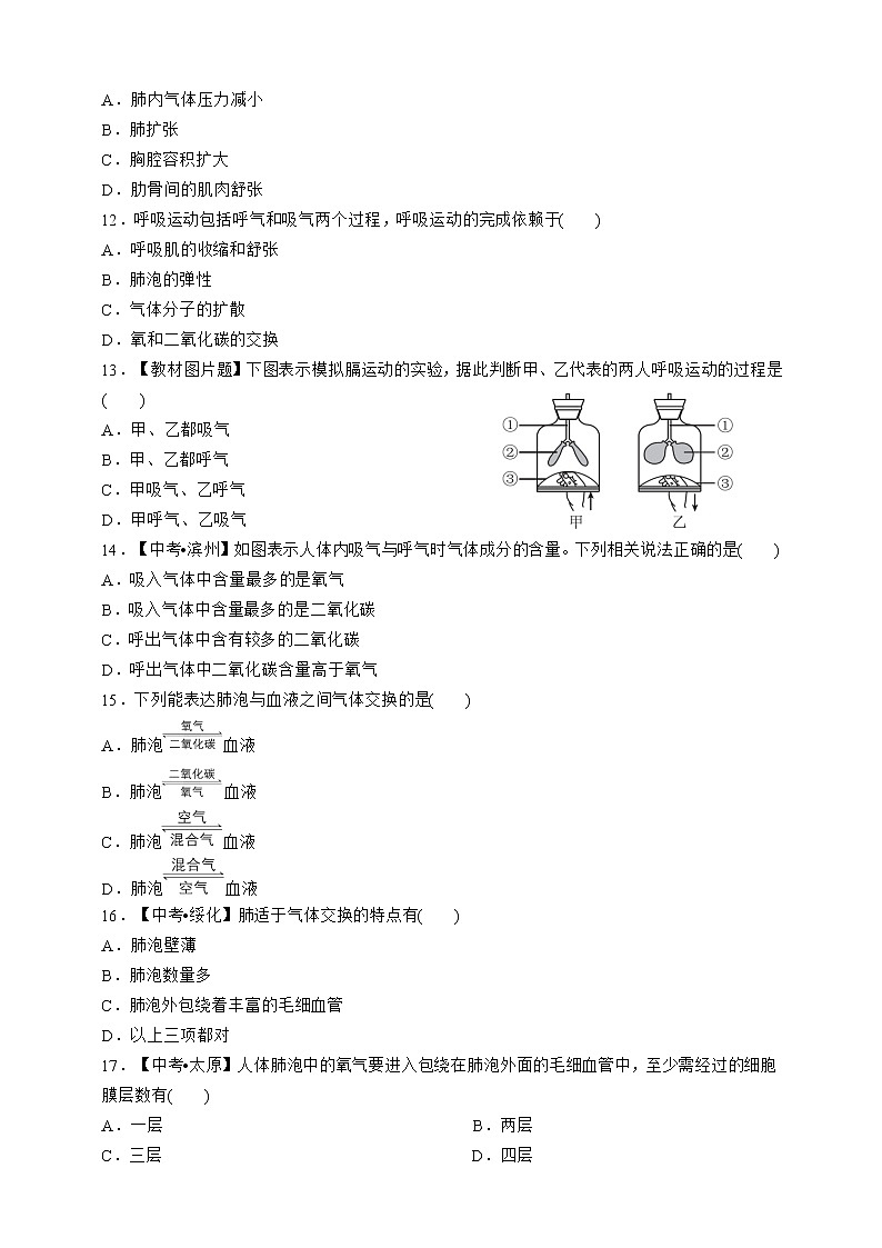 人教版生物七年级下册专项训练三 人体的呼吸03