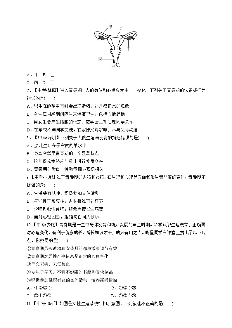 人教版生物七年级下册专项训练一  人的由来02