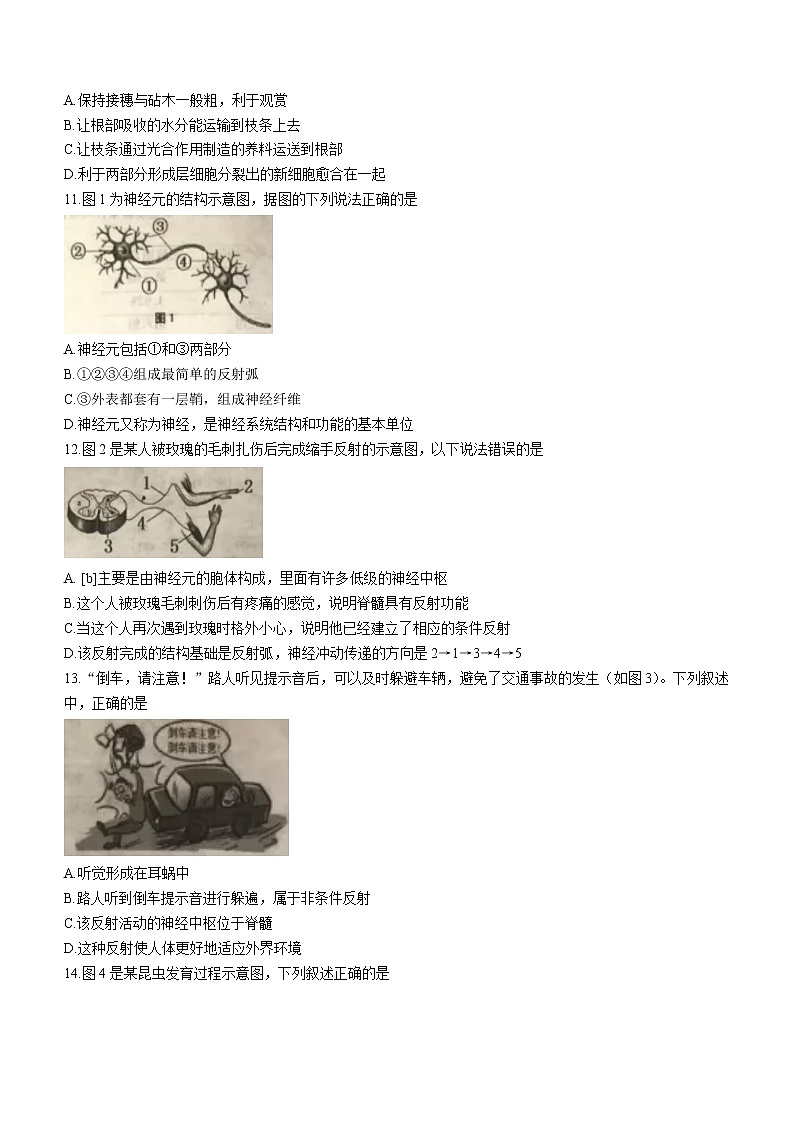 重庆市黔江区2021年中考生物试题（word版 含答案）02