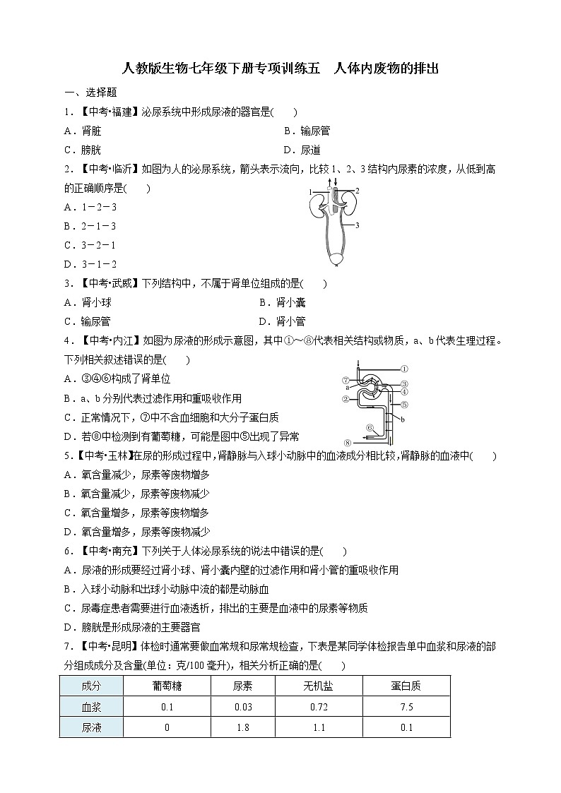 人教版生物七年级下册专项训练五  人体内废物的排出01
