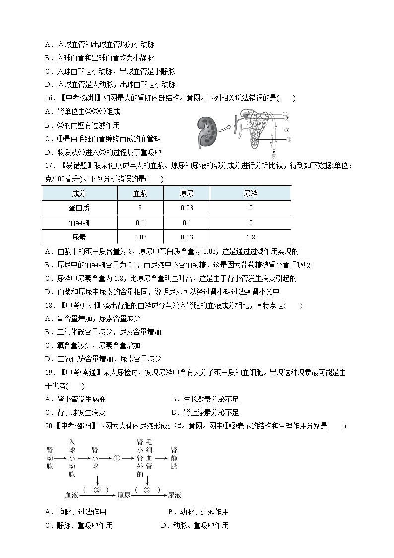 人教版生物七年级下册专项训练五  人体内废物的排出03