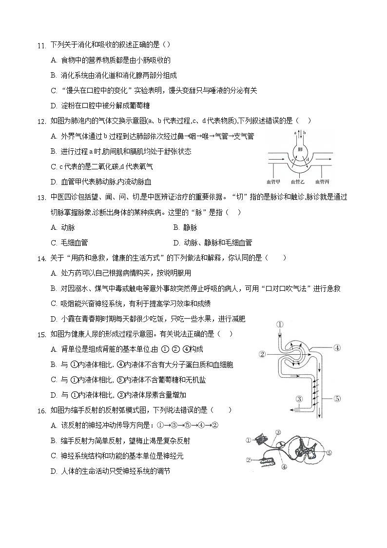 山东省滨州市滨城区2021年初中学生学业水平模拟考试生物试题（word版 含答案）03