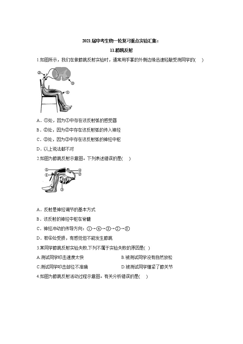 2021年中考生物一轮复习重点实验汇集：11.膝跳反射第1页