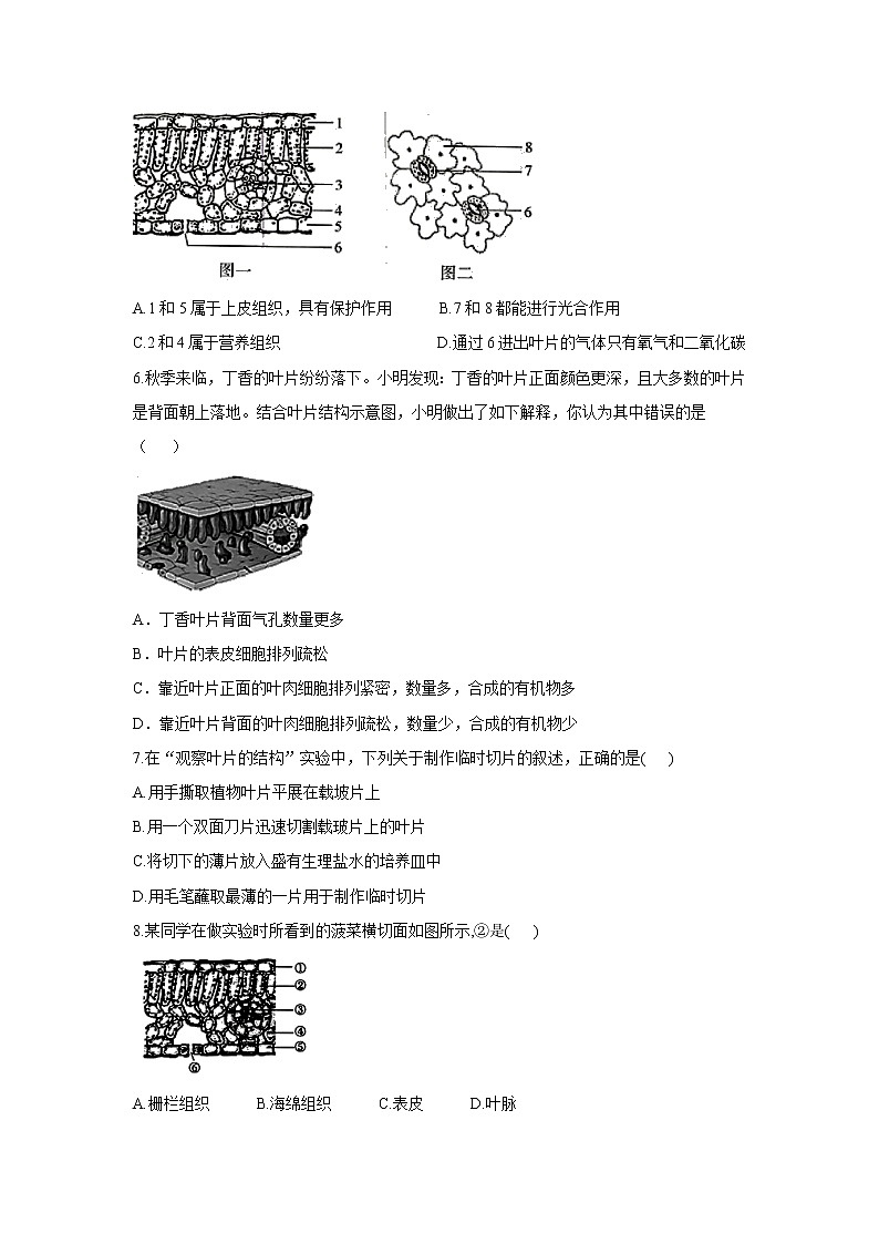 2021年中考生物一轮复习重点实验汇集：4.观察叶片的结构第2页