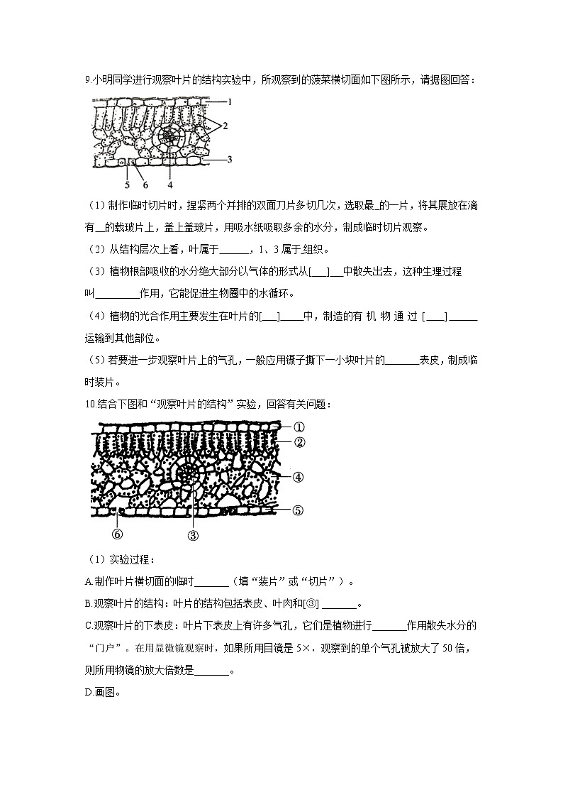 2021年中考生物一轮复习重点实验汇集：4.观察叶片的结构第3页