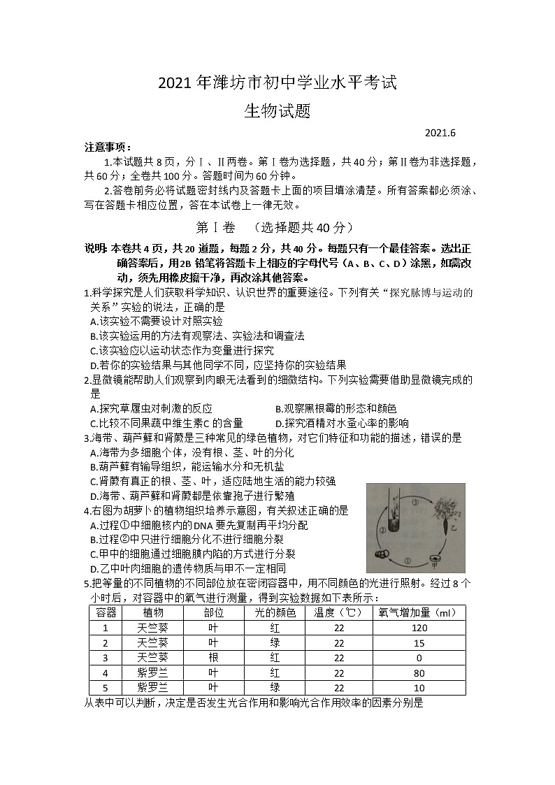 2021年山东省潍坊市中考生物真题卷及答案01