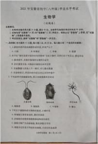 2021年安徽省初中（八年级）学业水平考试生物试题（图片版+无答案）